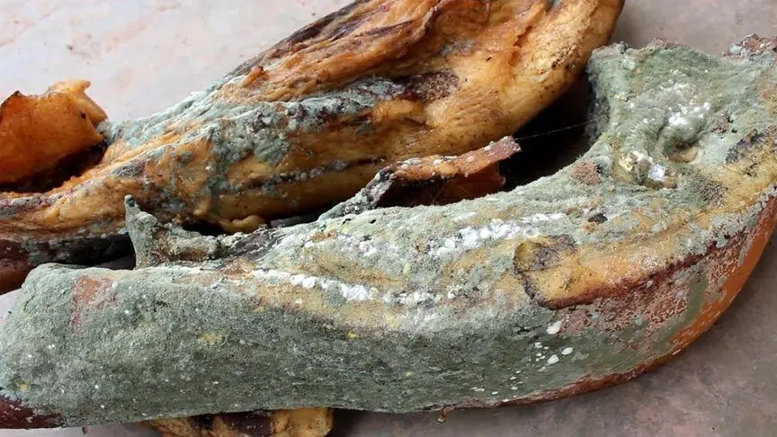 發(fā)霉生蟲肉制品 發(fā)霉生蟲肉制品